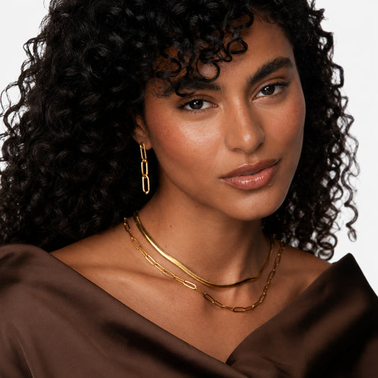 Snake & Paperclip Layered Necklace